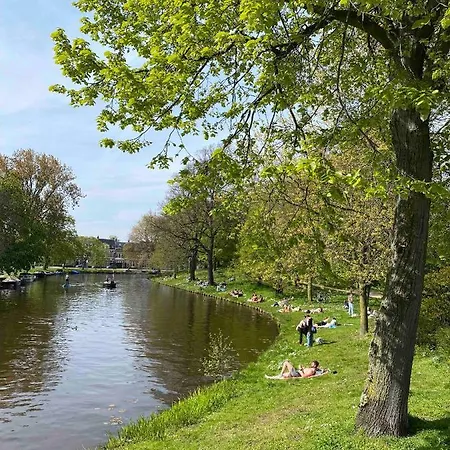 Downtown * Haarlem